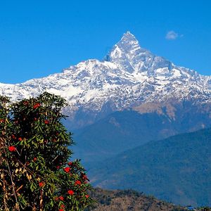 Himalayan Deurali Resort